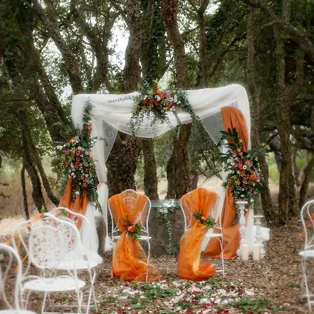 S'ena מלון ארבוס