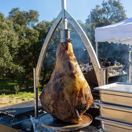 S'ena מלון ארבוס