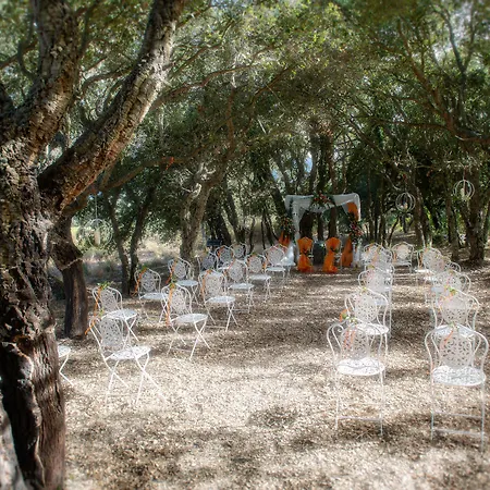 מלון S'ena ארבוס