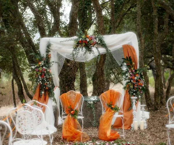 S'ena ホテル アルブス